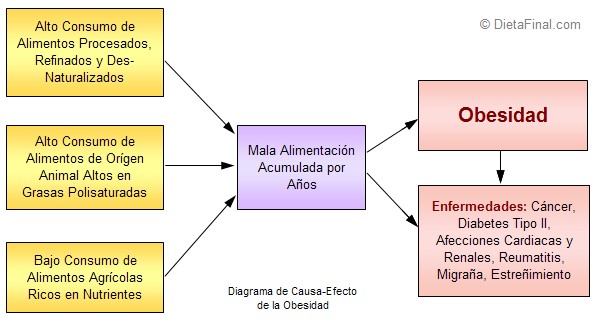 Diagrama causa-efecto de la Obesidad