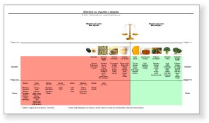 Pirmide Alimenticia